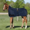 StormShield® Expandable High Neck Euro Bellyband 220g Medium Weight Foal Turnout Blanket