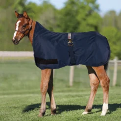 StormShield® Expandable High Neck Euro Bellyband 220g Medium Weight Foal Turnout Blanket
