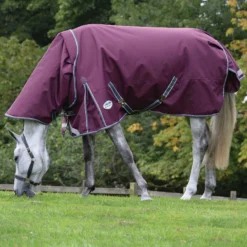 Weatherbeeta® ComFiTec® Plus Dynamic II Detach-A-Neck Lite Turnout Sheet -Schneiders Shop 44138 alt b