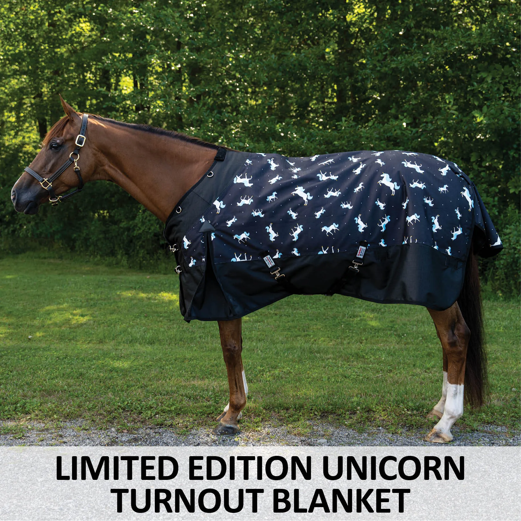 StormShield® Contour Collar Limited Edition Unicorn Surcingle Turnouts 4 StormShield® Contour Collar Limited Edition Unicorn Surcingle Turnouts - Image 2