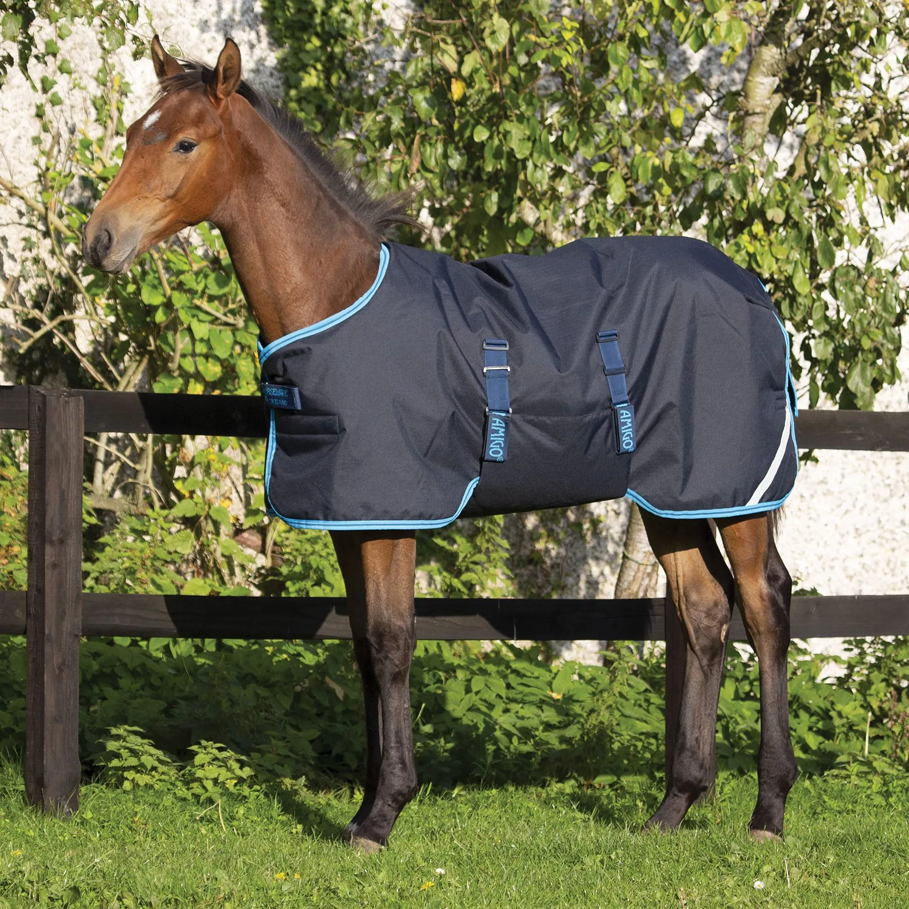 Horseware® Amigo® Ripstop Foal Turnout (200g Medium) 3 Horseware® Amigo® Ripstop Foal Turnout (200g Medium)