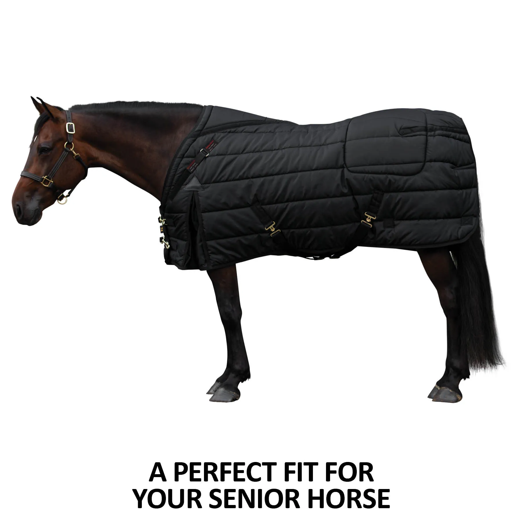 Dura-Nylon® Adjusta-Fit® VTEK® Senior Medium Weight Stable Blanket 4 Dura-Nylon® Adjusta-Fit® VTEK® Senior Medium Weight Stable Blanket - Image 2