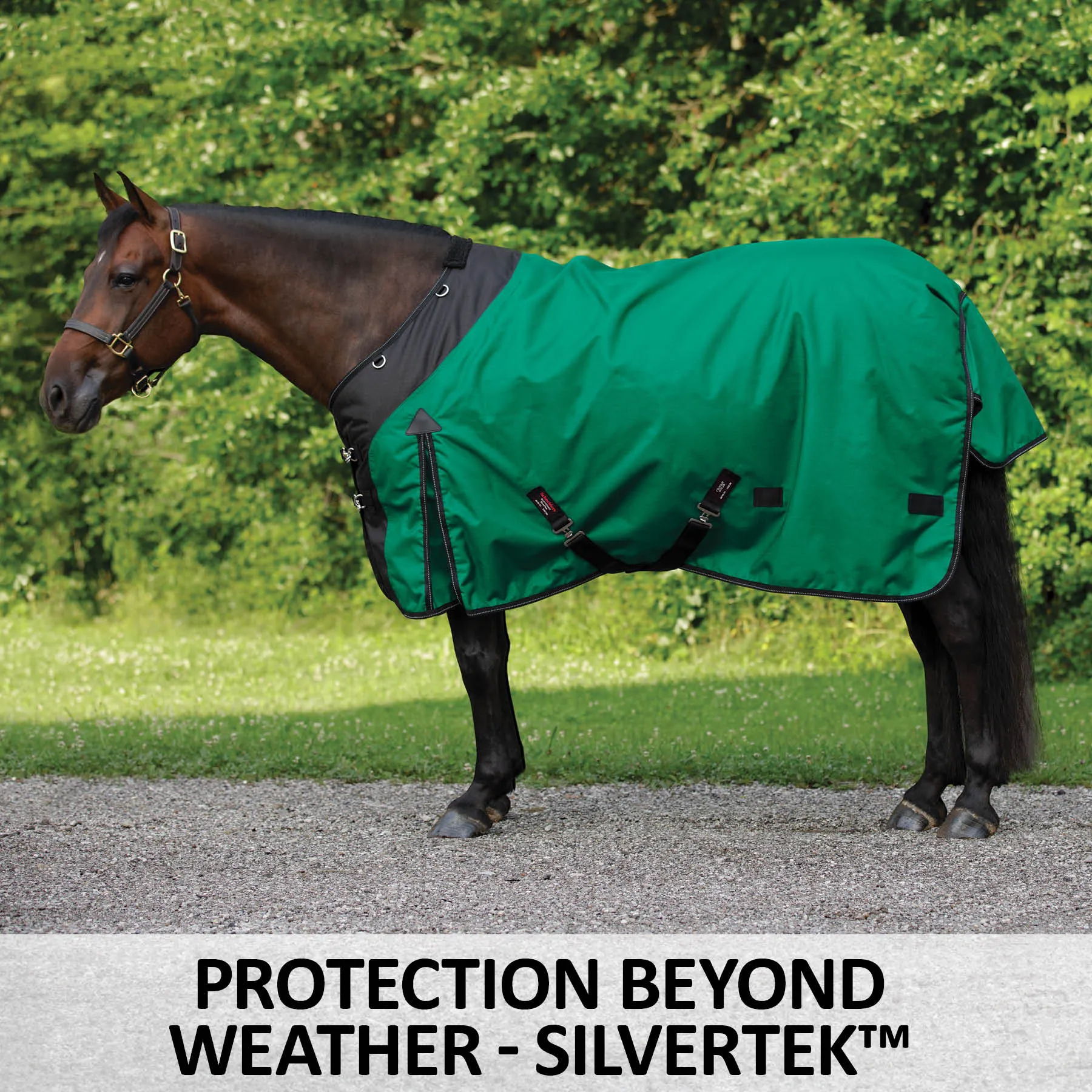 StormShield® Contour Collar SilverTek™ Surcingle 220g Medium Weight Turnout Blanket 4 StormShield® Contour Collar SilverTek™ Surcingle 220g Medium Weight Turnout Blanket - Image 2