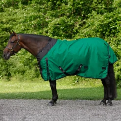 StormShield® Contour Collar SilverTek™ Surcingle 220g Medium Weight Turnout Blanket 32 StormShield® Contour Collar SilverTek™ Surcingle 220g Medium Weight Turnout Blanket -Schneiders Shop 44658 green