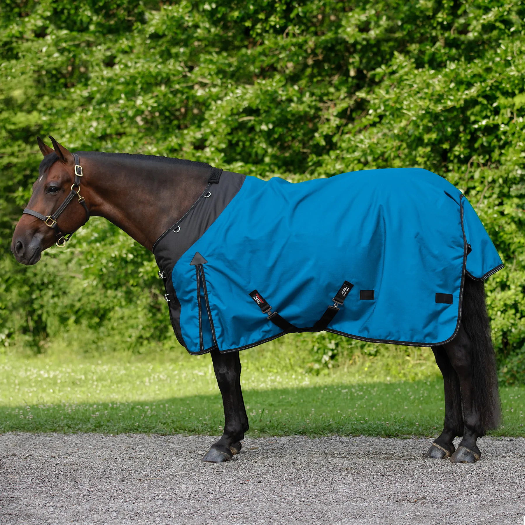 StormShield® Contour Collar SilverTek™ Surcingle 220g Medium Weight Turnout Blanket 18 StormShield® Contour Collar SilverTek™ Surcingle 220g Medium Weight Turnout Blanket - Image 16
