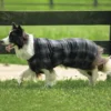 Dura-Tech® Windowpane Plaid Fleece Dog Coat